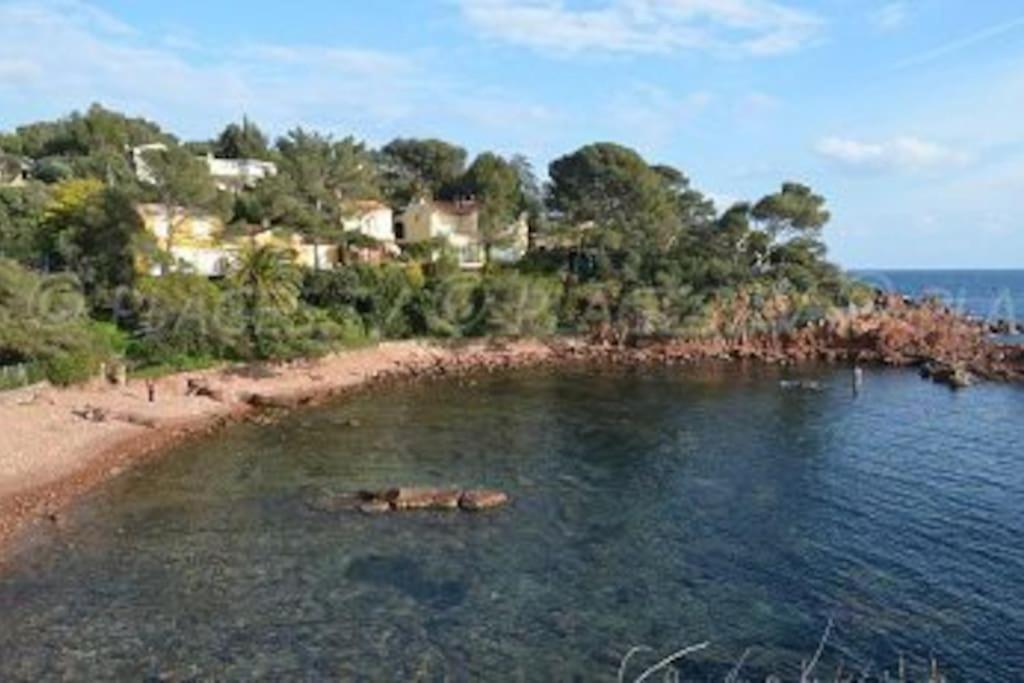 L'evasion, Vue Mer, Plages A Pied * Fréjus
